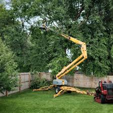 Best Tree Removal  in Huntingdon, TN